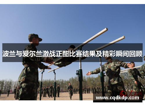 波兰与爱尔兰激战正酣比赛结果及精彩瞬间回顾