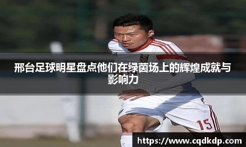 邢台足球明星盘点他们在绿茵场上的辉煌成就与影响力